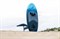 Доска Wing Jp-Australia 25 X-Winger PRO 5'2" x 26" 99L (wing foiling) - фото 11470