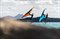 Доска Wing Jp-Australia 25 X-Winger IPR 5'7" x 27" 111L (wing foiling) - фото 11483