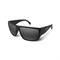 Очки унисекс Jobe Beam Floatable Glasses Black-Smoke - фото 7186